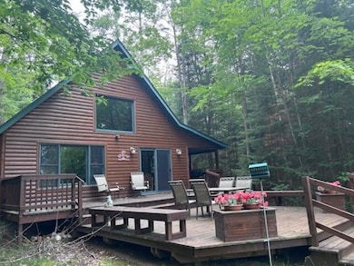 24919 E Riverside Dr, Hillman, MI 49746 - photo 6