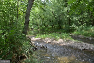 157 Hodges Ln, Winchester, VA 22603 - photo 7