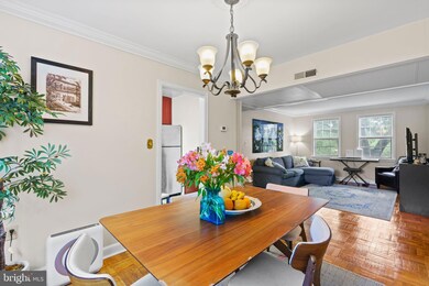 6617 E Wakefield Dr unit B1, Alexandria, VA 22307 - photo 7