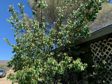 fruit treet