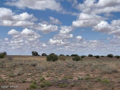 IMG_9819 (1)