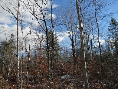 M2 L42 E Ridge Road (Off), Cornville, ME 04976 - photo 7