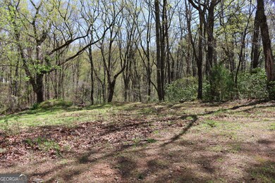 0 Spring Crest Rd unit 10509769, Cleveland, GA 30528 - photo 3