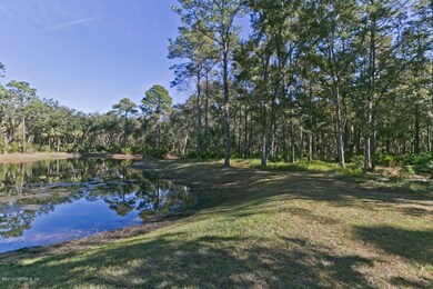 Lake View and Trees