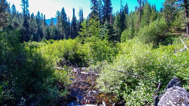 TBD5 Clear Creek Rd, Cascade, ID 83611 - photo 2