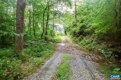 8024 Tabletop Mountain Rd, Dyke, VA 22935 - photo 4