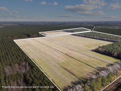 Tuten Rd, Blounts Creek, NC 27814 - photo 5