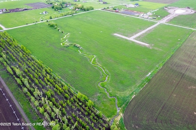Aeriel View Canyon Wren sm file