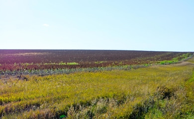 NW4 Sec 36 238th St T106 R76, Kennebec, SD 57544 - photo 3