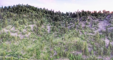 View of nature