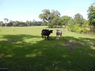 5 visiting neighbors (Custom)