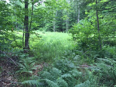 Lot 1 Range Rd E, Limerick, ME 04048 - photo 2