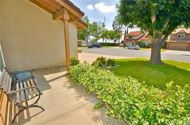 Front patio with jasmine border and mature shade t