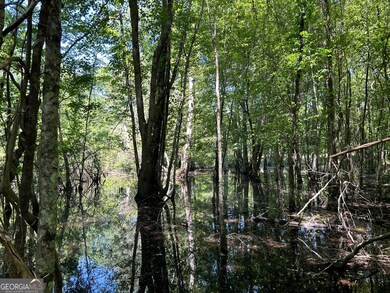 0 Dewey Thomas Rd unit LOT 15 10589727, Dexter, GA 31019 - photo 7