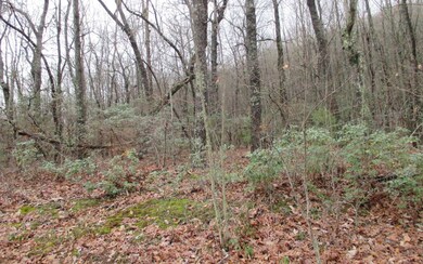 Additional View