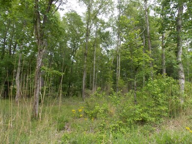 0 Lewis Crook Rd unit 454674, Lincolnton, GA 30817 - photo 2