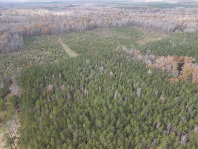 1526 Coal Bluff Rd, Lena, MS 39094 - photo 4