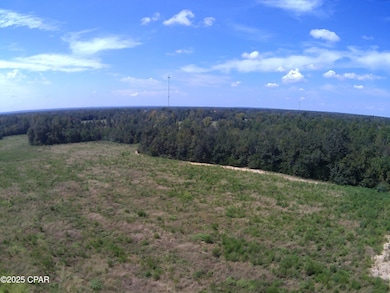 TBD Mashburn Rd, Marianna, FL 32448 - photo 3