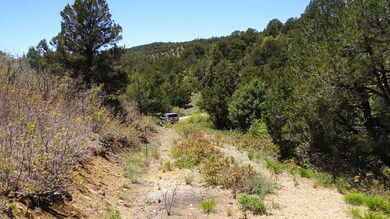 IMG_3902