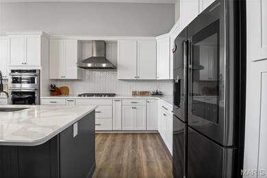 155 Palais Ct, Saint Charles, MO 63301 - photo 3