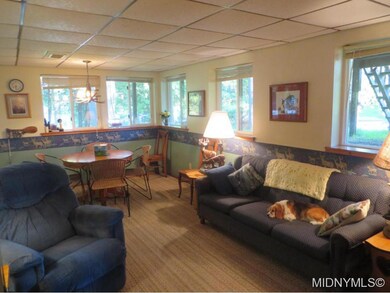 Lower Level Family Room
