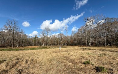 354 Michelle Ln, Austin, AR 72007 - photo 7