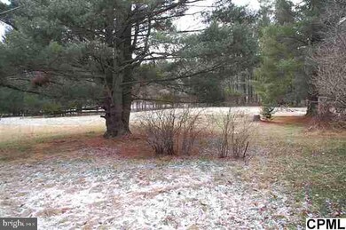 9162 State Route 209, Williamstown, PA 17098 - photo 6