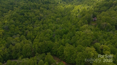 0 Cove Gap Rd unit Offering 1, Moravian Falls, NC 28654 - photo 7