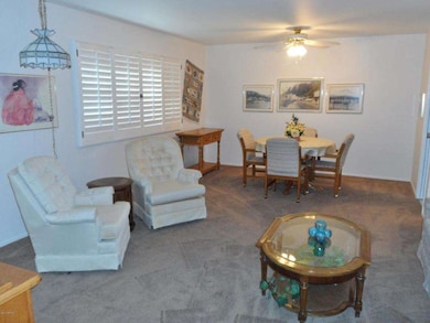 Plantation Shutters in Living Room