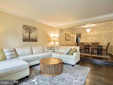 5003 Domain Place, Alexandria, VA 22311 - photo 5