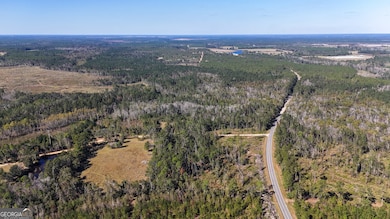 0 Stewart Cemetery Rd, Alma, GA 31510 - photo 5