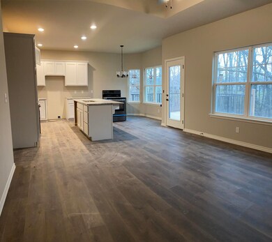 Kitchen Living Dining