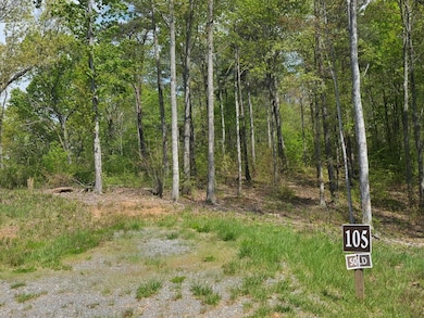 Lot 105 Twisted Oak Rd, Talking Rock, GA 30175 - photo 5