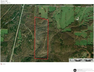 000 Dixon Rd, Licking, MO 65542 - photo 4