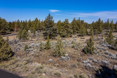 DJI_0677