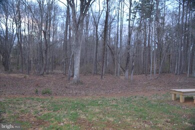 119 Range Rd, Louisa, VA 23093 - photo 5