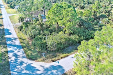 324 Leruth Ave, Lehigh Acres, FL 33974 - photo 6