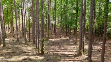 DJI_20250605160535_0677_D.00_00_04_29.St