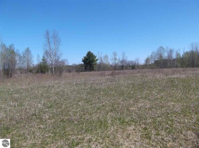 00 Putnam Rd, Hale, MI 48739 - photo 6