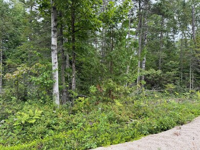 0 Europe Bay Rd unit 144452, Liberty Grove, WI 54210 - photo 5