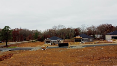 LOT 2 Coal Mountain Rd, El Paso, AR 72045 - photo 2