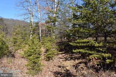 LOT 23 Fable Rd, Hedgesville, WV 25427 - photo 7