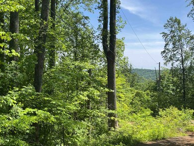 0 Crane Cir, Stanardsville, VA 22973 - photo 2