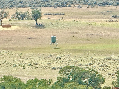 Highway 96 & 595 Hwy unit Wilderness Ranch, Regina, NM 87017 - photo 6