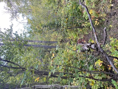 NHN Arlie Tracts, Other, See Remarks, MT 59411 - photo 5