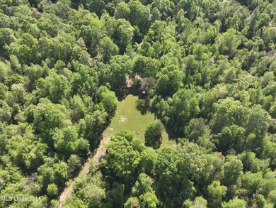 DJI_20250411100520_0009_V