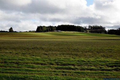 4790 Drift Creek Rd SE, Sublimity, OR 97385 - photo 2