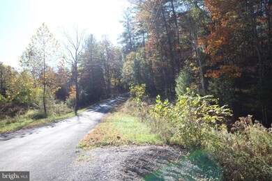 15 Slate Rock Pass Rd, Wardensville, WV 26851 - photo 3