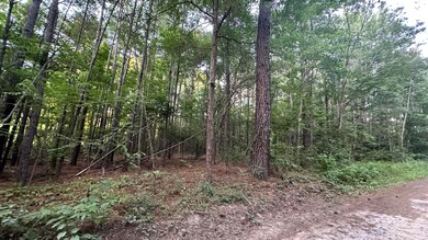 0 Pearl Acres Ln, Huger, SC 29450 - photo 5