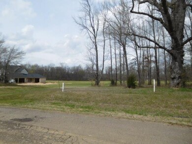 lot # 3 next door
